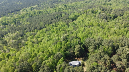 Vacant Land for Sale Nashville, NC - 20.95 Acres - image 12