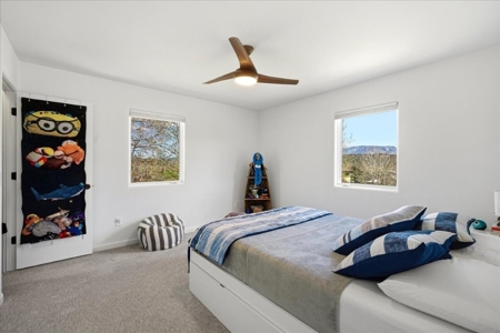 Luxury In-Town Ridgway Mountain View Home - image 26