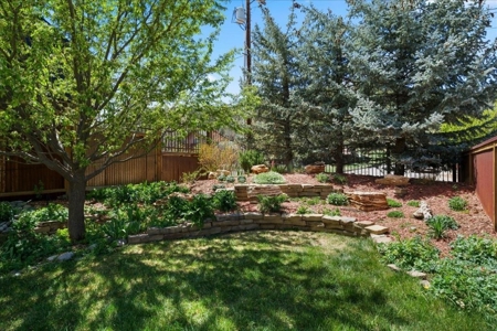 Luxury In-Town Ridgway Mountain View Home - image 6