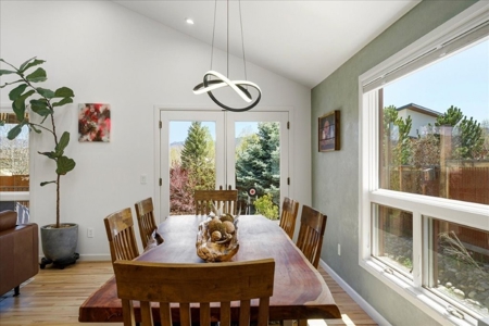 Luxury In-Town Ridgway Mountain View Home - image 10