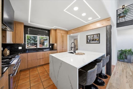 Luxury In-Town Ridgway Mountain View Home - image 14