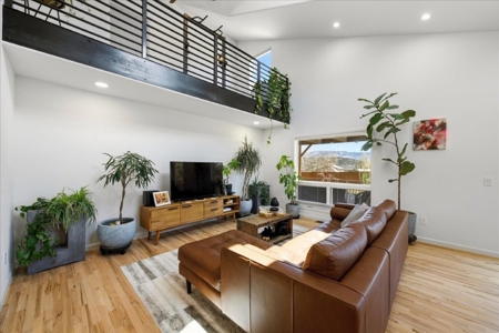 Luxury In-Town Ridgway Mountain View Home - image 9