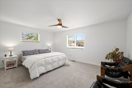Luxury In-Town Ridgway Mountain View Home - image 25