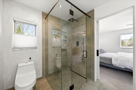 Luxury In-Town Ridgway Mountain View Home - image 18