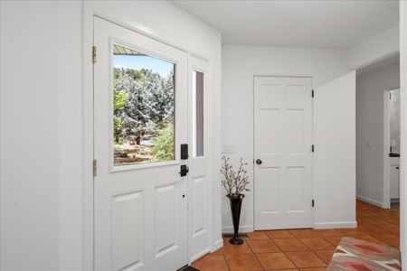 Luxury In-Town Ridgway Mountain View Home - image 7
