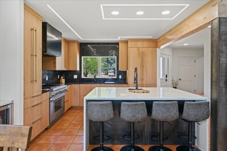 Luxury In-Town Ridgway Mountain View Home - image 16