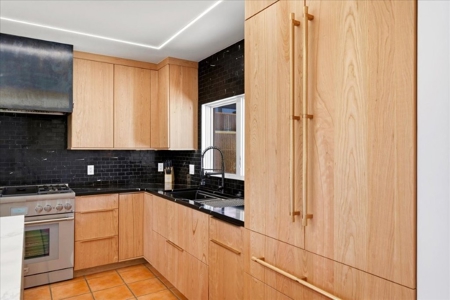 Luxury In-Town Ridgway Mountain View Home - image 12