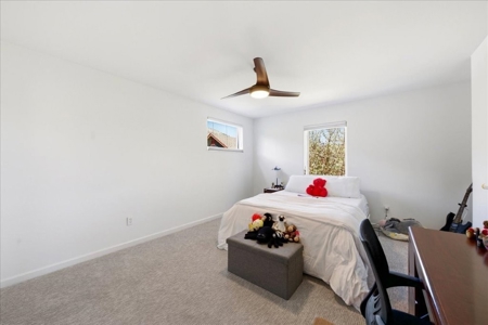 Luxury In-Town Ridgway Mountain View Home - image 21