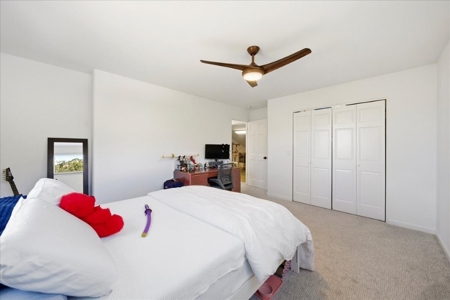 Luxury In-Town Ridgway Mountain View Home - image 22