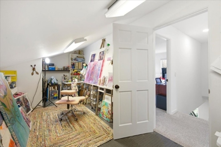 Luxury In-Town Ridgway Mountain View Home - image 29