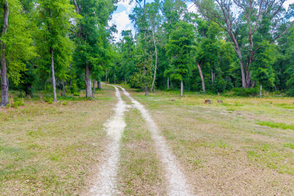 Discover Your Private North Florida Oasis: 26-Acre McAlpin Estate
