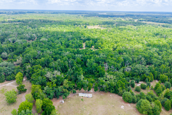 Discover Your Private North Florida Oasis: 26-Acre McAlpin Estate