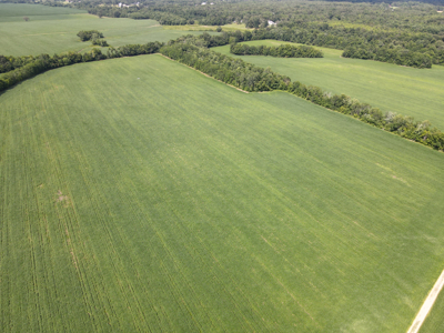 Riverfront Legacy Farm | 700 Acres ± | Land For Sale In Tn - image 42