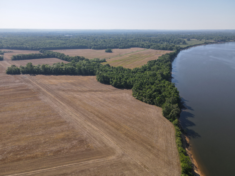 No Caption
