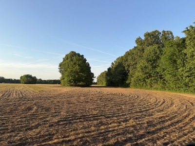 Riverfront Legacy Farm | 700 Acres ± | Land For Sale In Tn - image 19