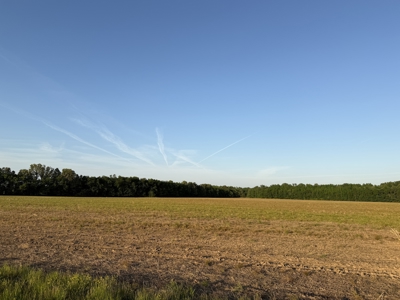 Riverfront Legacy Farm | 700 Acres ± | Land For Sale In Tn - image 18