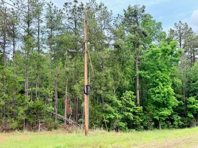 Hunting, Building, Recreation Land for Sale in Tippah Co., MS - image 5