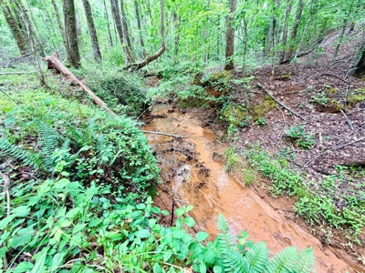 Hunting, Building, Recreation Land for Sale in Tippah Co., MS - image 12