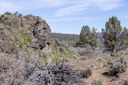 Central Oregon Russell Ranch Located on Camp Creek Road - image 6