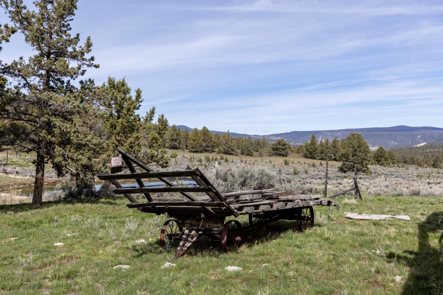 No Caption