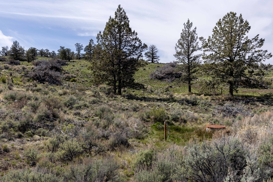 No Caption
