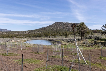 Central Oregon Russell Ranch Located on Camp Creek Road - image 17