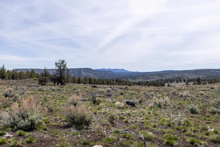 Central Oregon Russell Ranch Located on Camp Creek Road - image 22