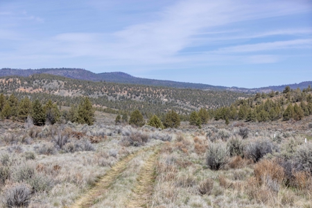 Central Oregon Russell Ranch Located on Camp Creek Road - image 12