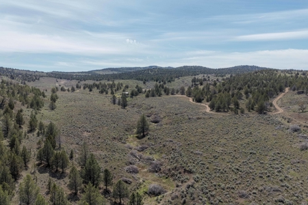Central Oregon Russell Ranch Located on Camp Creek Road - image 48