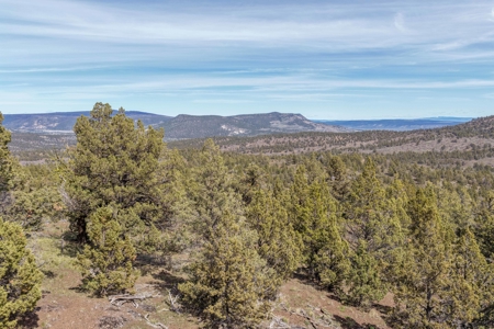 Central Oregon Russell Ranch Located on Camp Creek Road - image 44