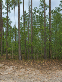 Listing 177