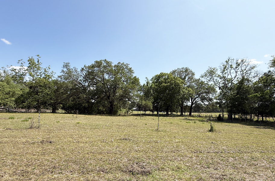 No Caption