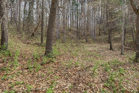 Log Home on 11.45± Acres Mindoro WI - image 34
