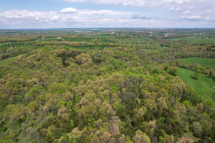 No Caption