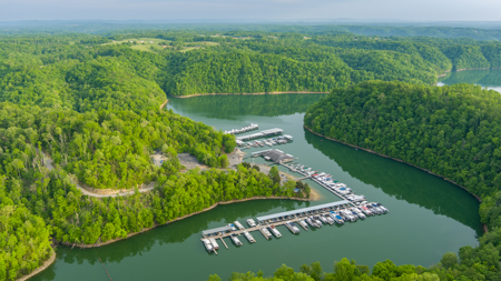Luxurious 4-Bedroom Estate with Private Pool Close to Dale Hollow - image 16