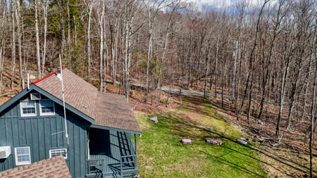 Cabin Home For Sale In Colchester, New York - image 25