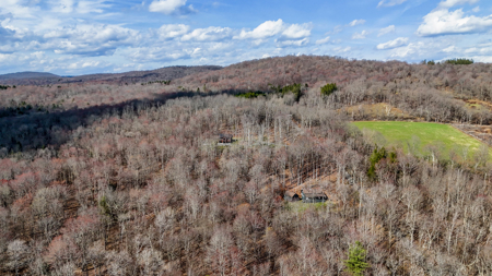 Cabin Home For Sale In Colchester, New York - image 22