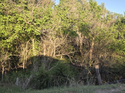 49± Acres For Sale Located NW of Alva, OK - image 7