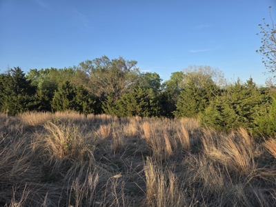 49± Acres For Sale Located NW of Alva, OK - image 2