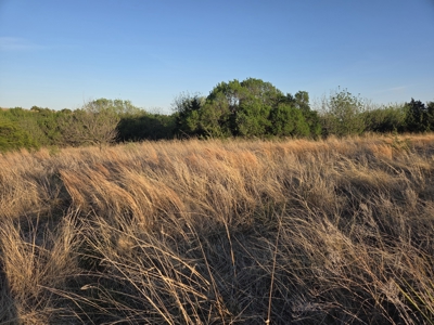 49± Acres For Sale Located NW of Alva, OK - image 6