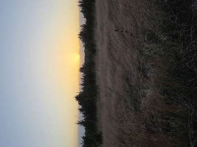 49± Acres For Sale Located NW of Alva, OK - image 8