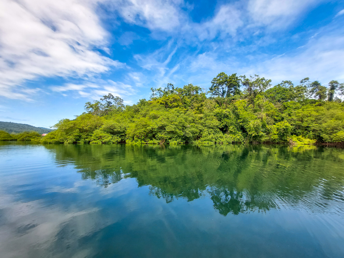 Elevated Waterfront Land, 12.5 Acres, Coral Reef Coast — Isla Pastores - 20