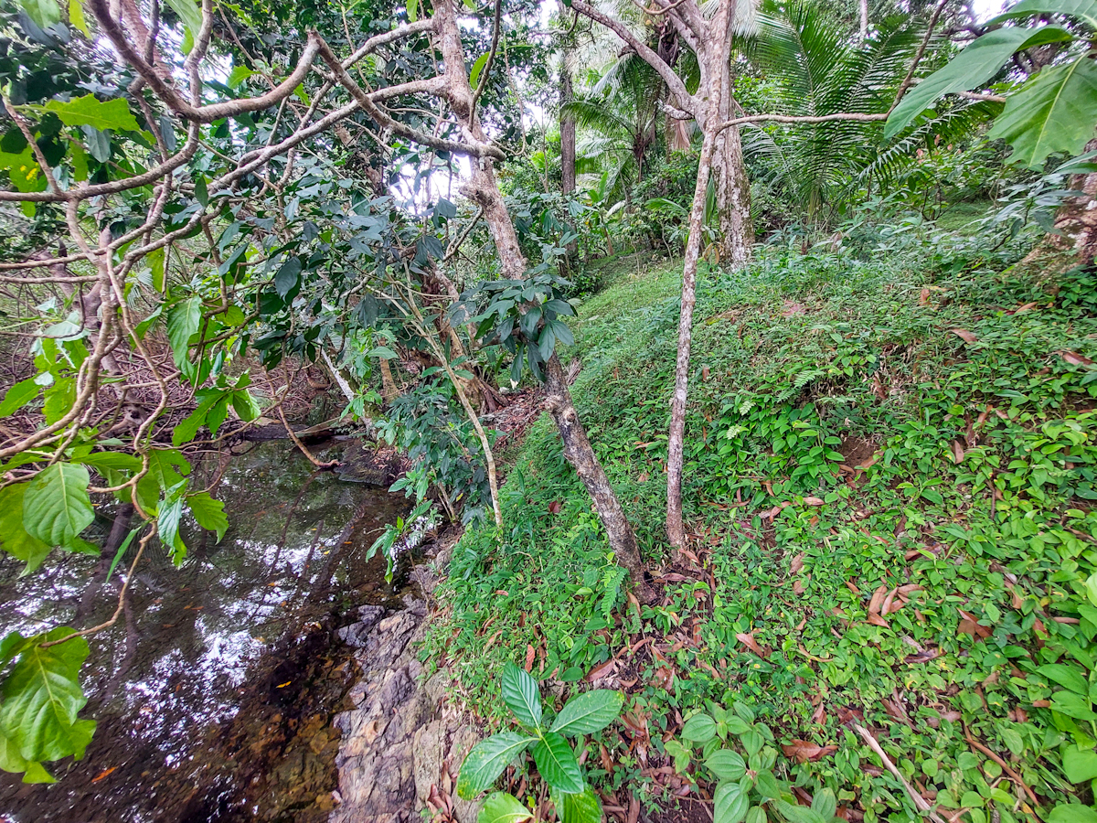 Elevated Waterfront Land, 12.5 Acres, Coral Reef Coast — Isla Pastores - 10