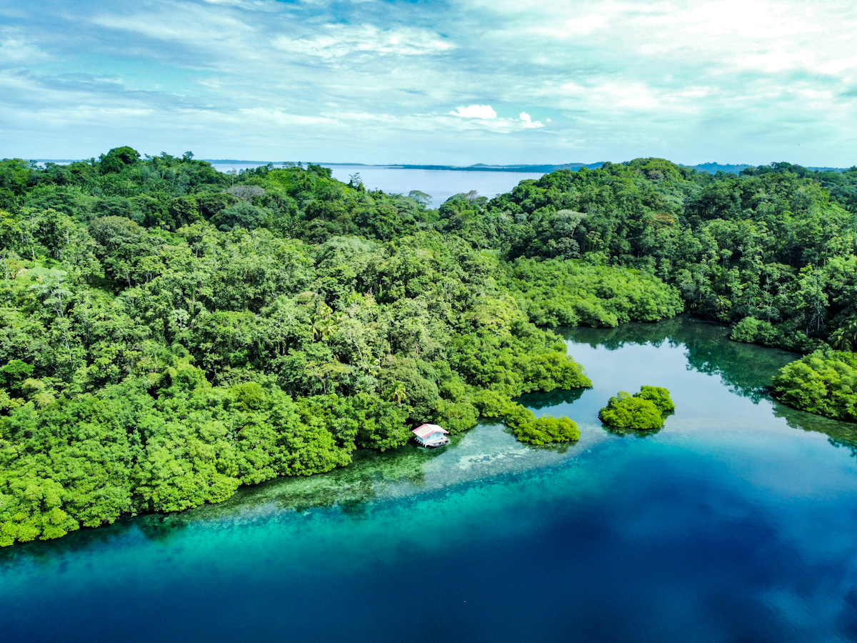 Elevated Waterfront Land, 12.5 Acres, Coral Reef Coast — Isla Pastores - 2