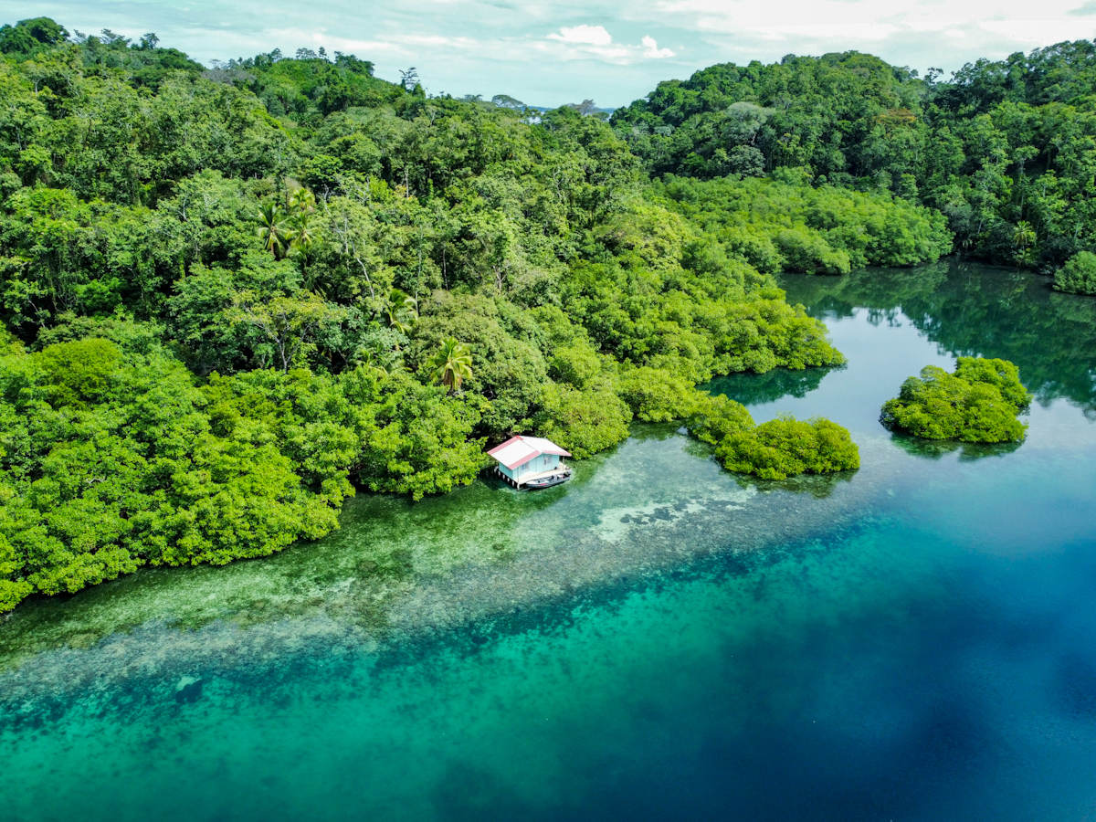 Elevated Waterfront Land, 12.5 Acres, Coral Reef Coast — Isla Pastores - 6