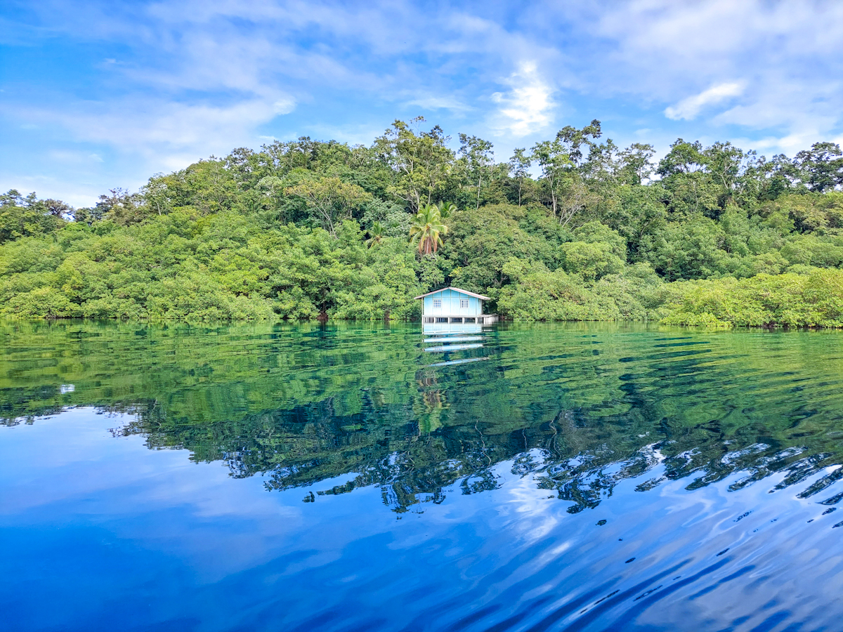Elevated Waterfront Land, 12.5 Acres, Coral Reef Coast — Isla Pastores - 5
