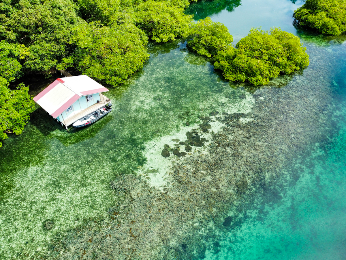 Elevated Waterfront Land, 12.5 Acres, Coral Reef Coast — Isla Pastores - 7