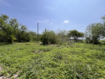 Ranch for sale just outside of AGUA DULCE - image 5