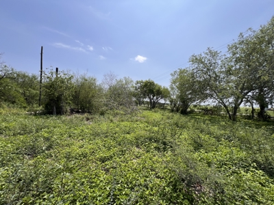 Ranch for sale just outside of AGUA DULCE - image 4