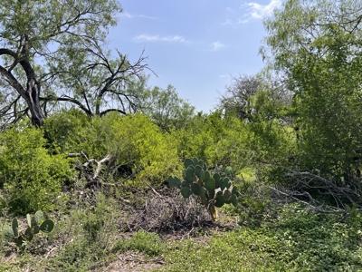 Ranch for sale just outside of AGUA DULCE - image 11